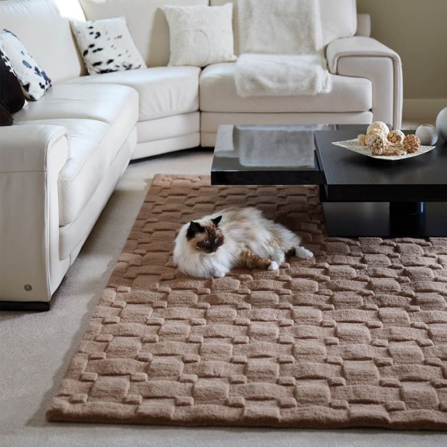 The Best Way To Care For Your Rug