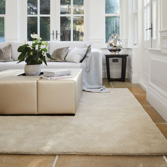 Reasons To Have a Viscose Rug In Your Home