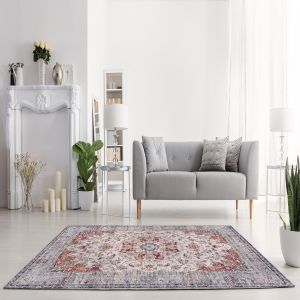 Fenix G4672 Grey Red Bordered Rug by Euro Tapis