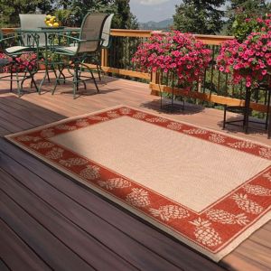 Rug Style Outdoor Pineapple Terracotta Rug 
