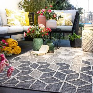 Sherpa 370 Taupe Rug
