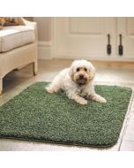 Origins Buddy Forest Green Washable Plain Rug