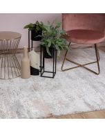 Jewel of Obsession 953 Taupe Rug