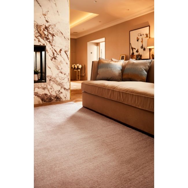 Area rugs 4